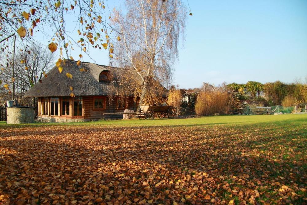 Hotel Jaśmin Owińska Buitenkant foto